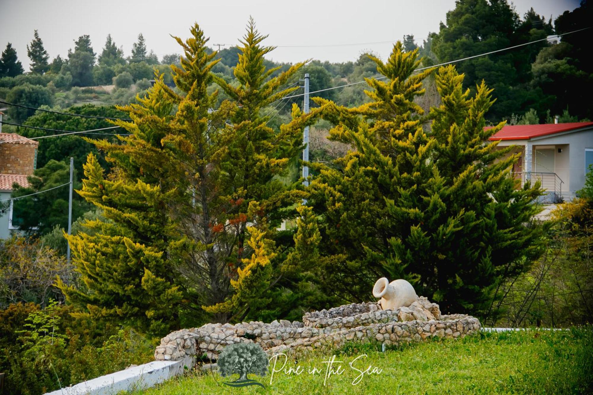 Pine In The Sea Nikiti-Sithonia Διαμέρισμα Εξωτερικό φωτογραφία